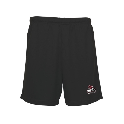 Picture of Bulls Training Shorts